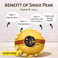 [NH] Premium Korean Singo Pear(한국 배)